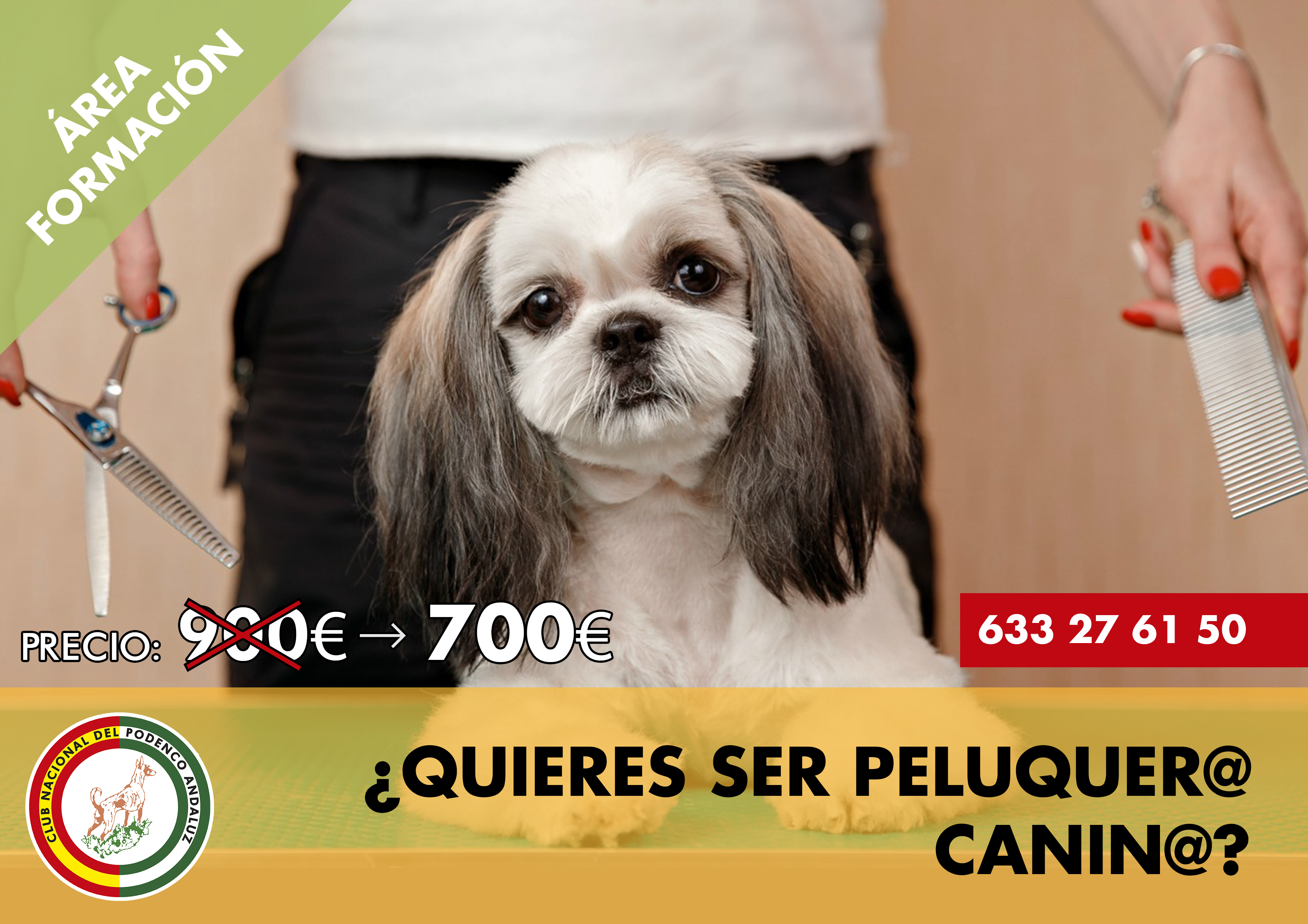 Academia de peluquería canina y felina en Sevilla