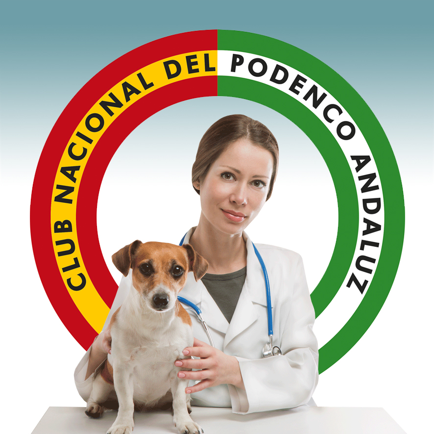 imagen clinica veterinaria 180
