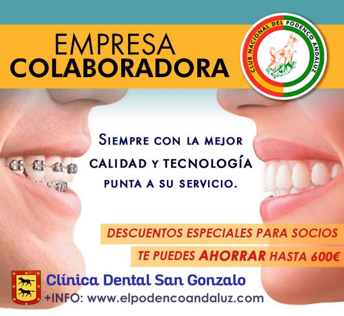 Clínica Dental San Gonzalo 